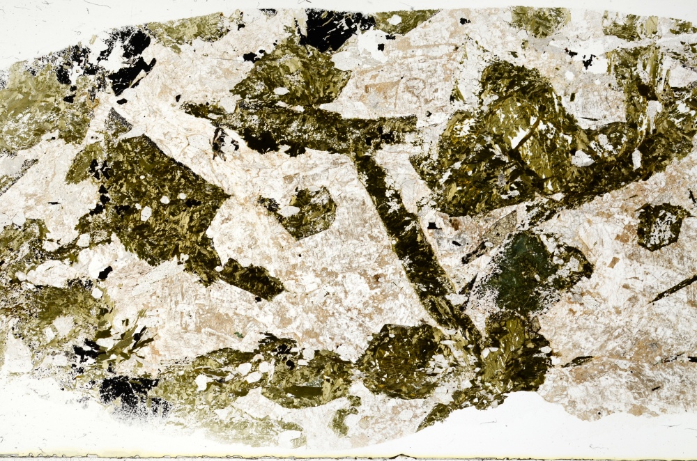 Plane Polarized, S71694
