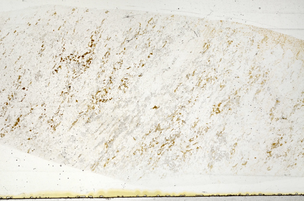Plane Polarized, S71698