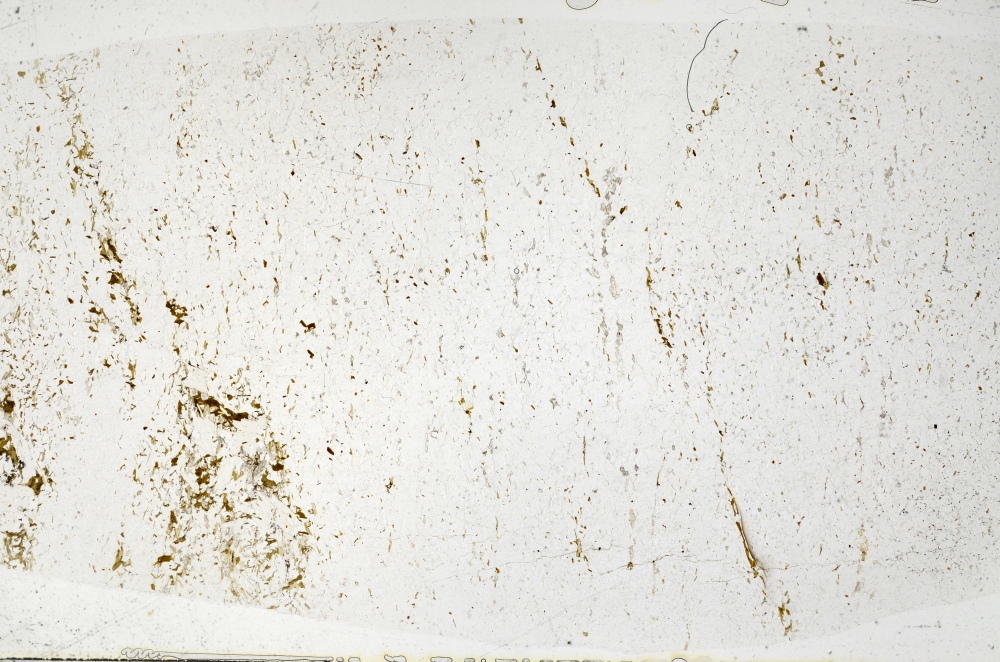 Plane Polarized, S71701