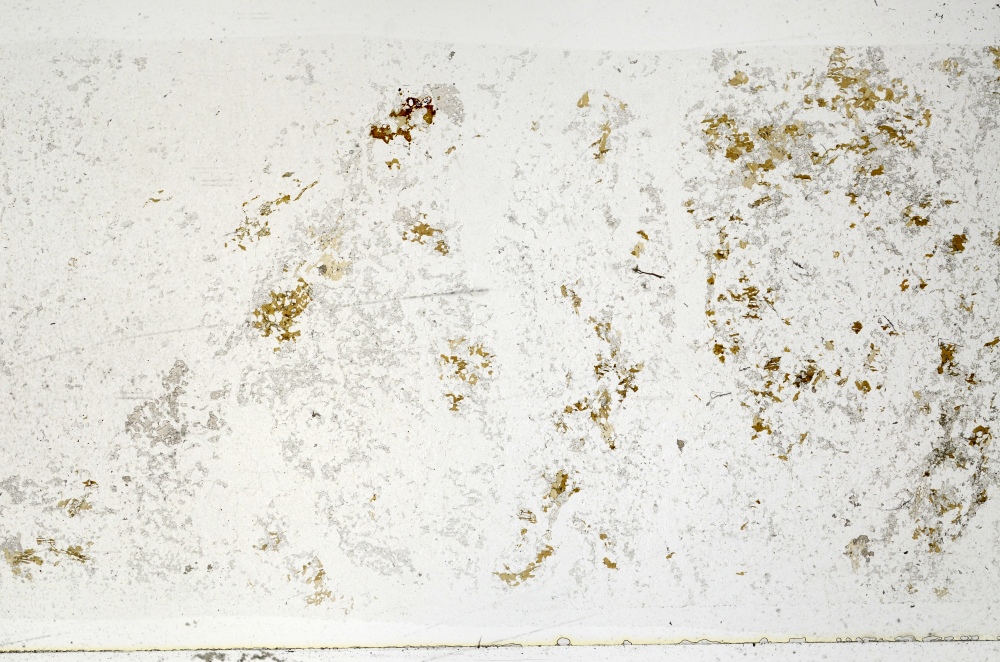 Plane Polarized, S71702