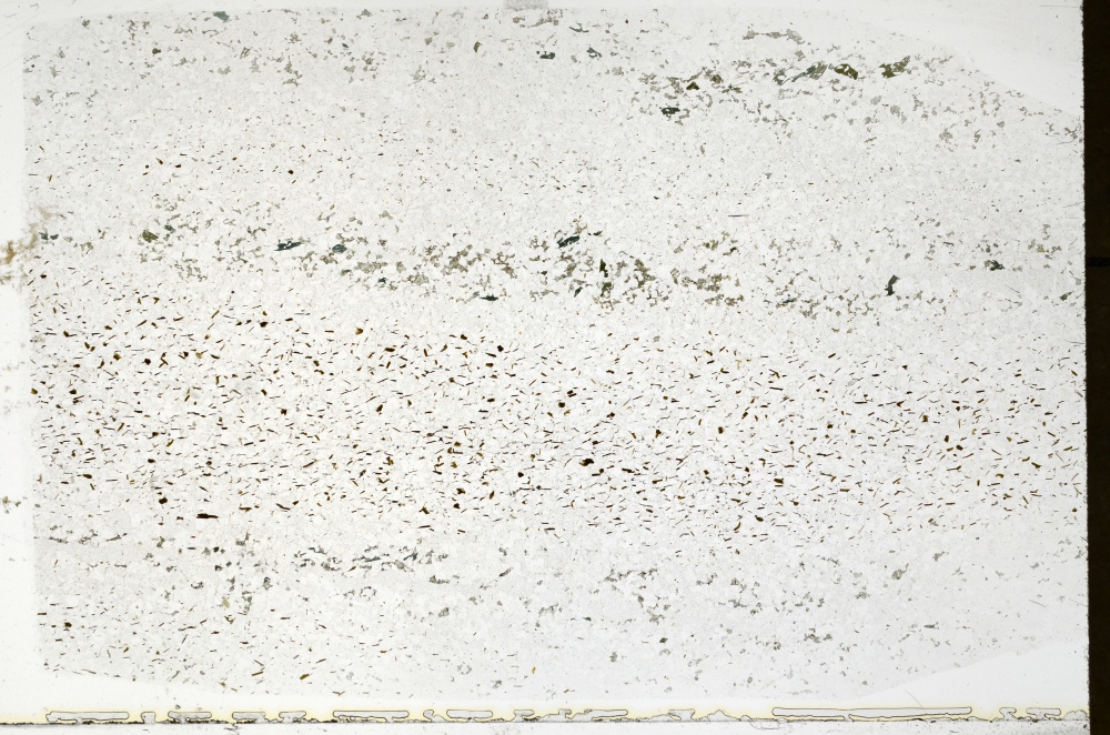 Plane Polarized, S71719