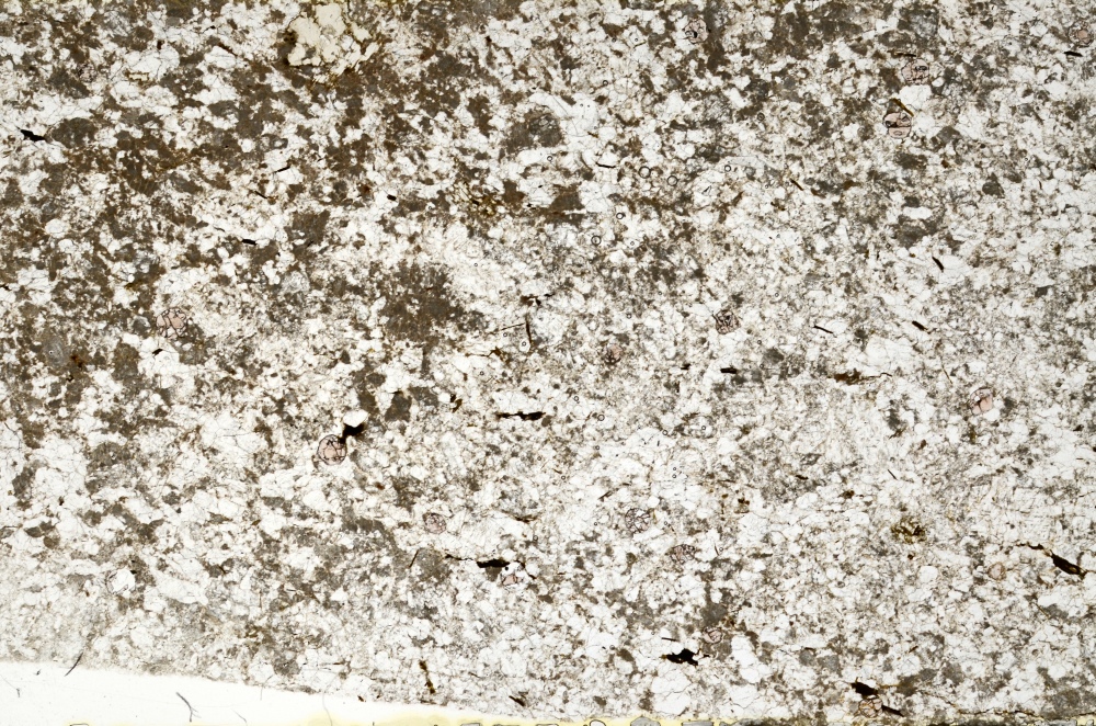Plane Polarized, S71729