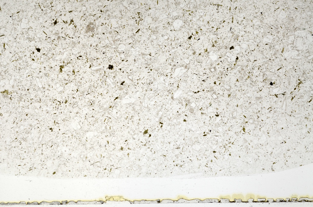 Plane Polarized, S71731