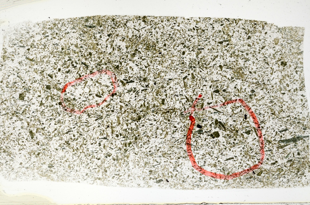 Plane Polarized, S71732