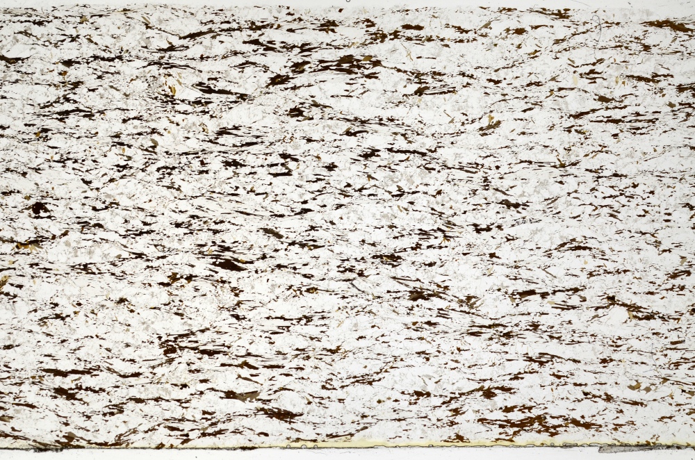 Plane Polarized, S71738