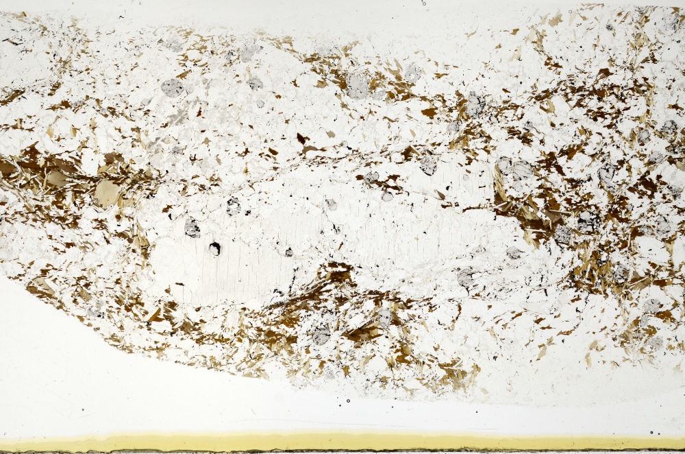 Plane Polarized, S71742