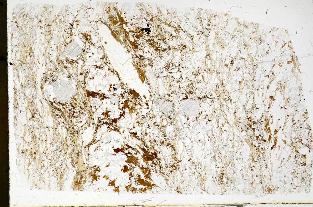 Plane Polarized, S71746