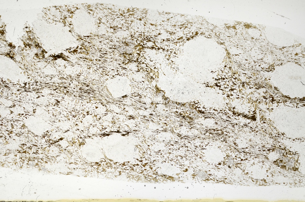 Plane Polarized, S71747