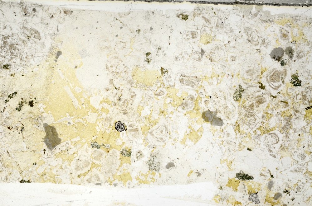 Plane Polarized, S71776