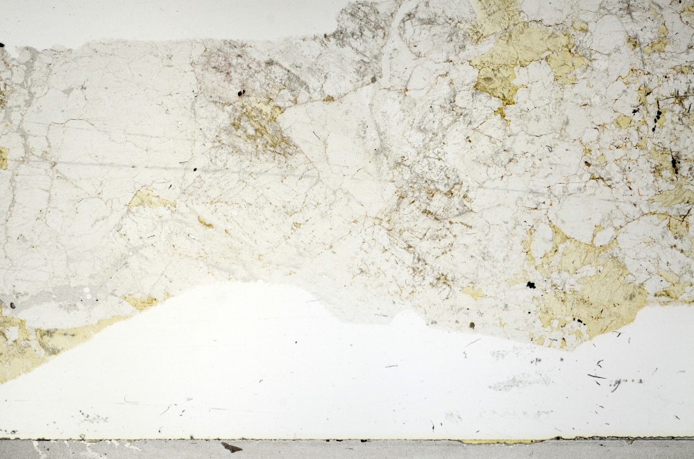 Plane Polarized, S71790