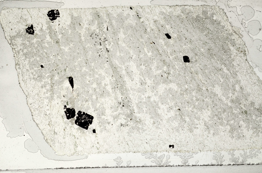 Plane Polarized, S71834