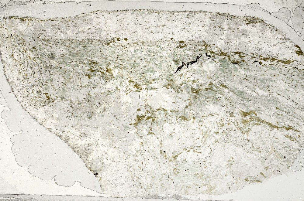 Plane Polarized, S71836