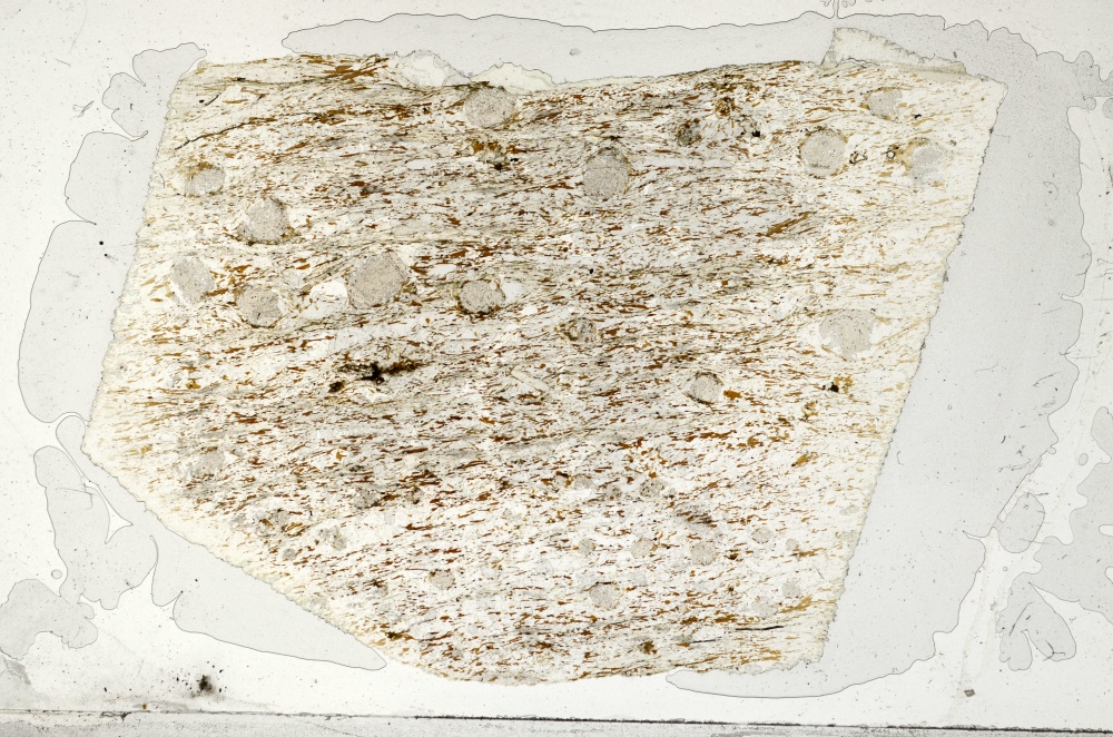 Plane Polarized, S71839