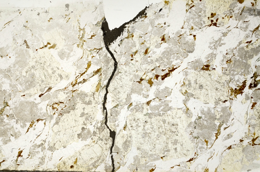 Plane Polarized, S71859