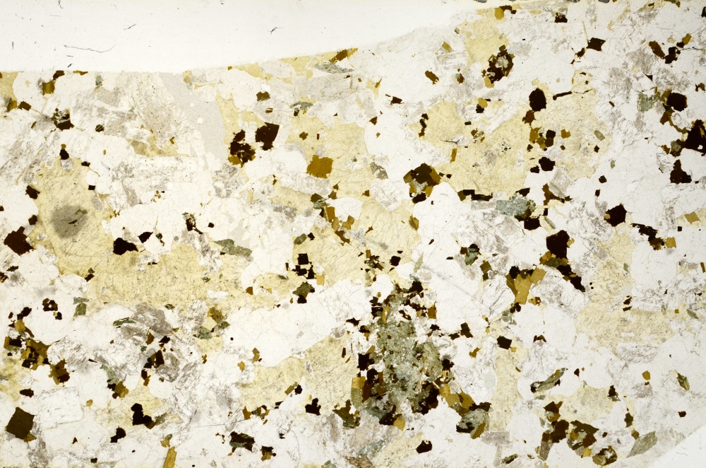 Plane Polarized, S71873