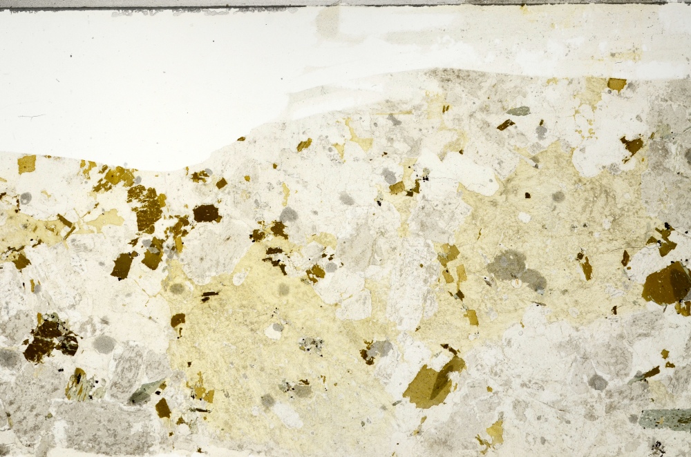 Plane Polarized, S71880