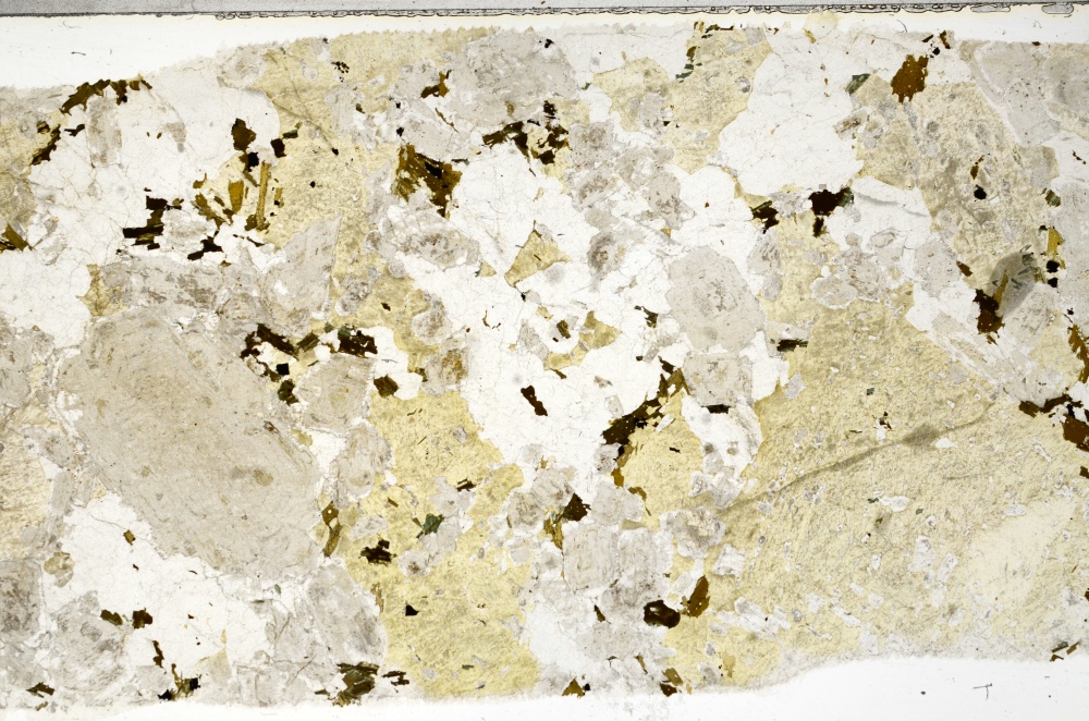 Plane Polarized, S71883