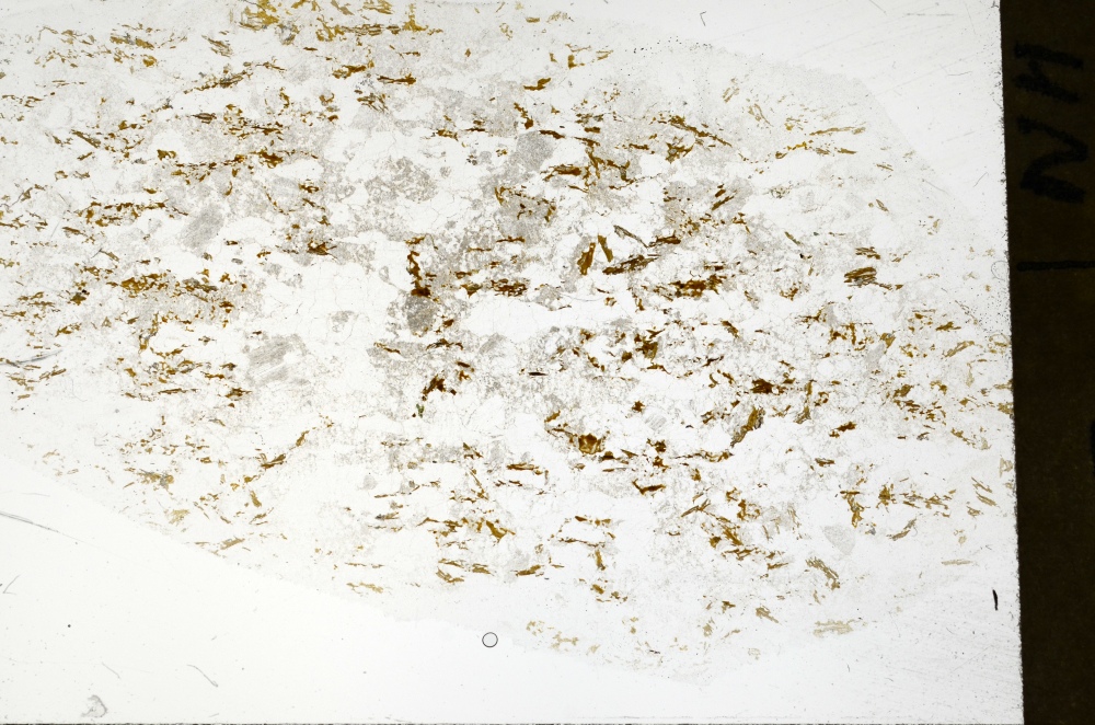 Plane Polarized, S72111