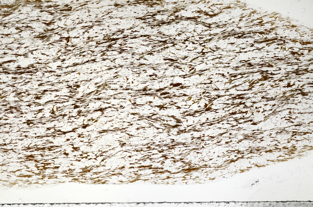 Plane Polarized, S72147
