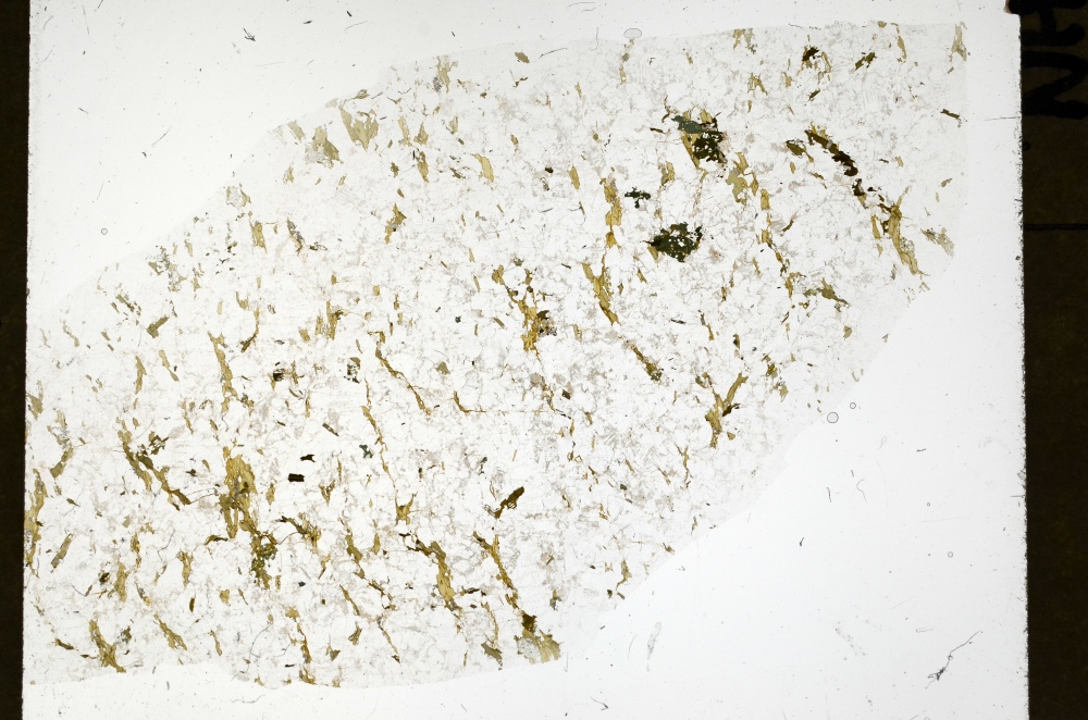 Plane Polarized, S72169