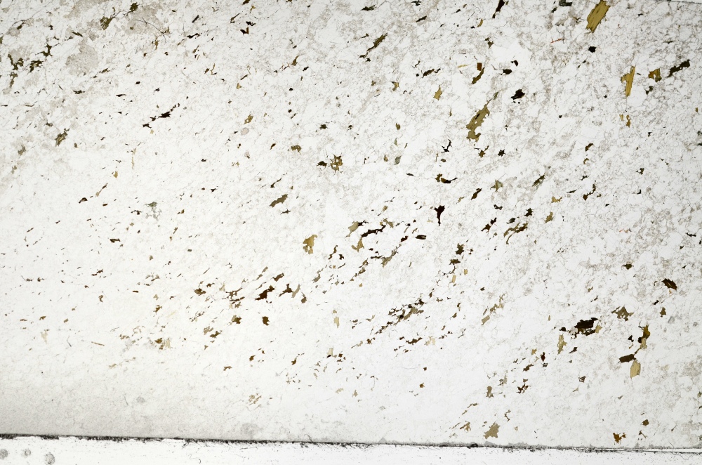 Plane Polarized, S72176