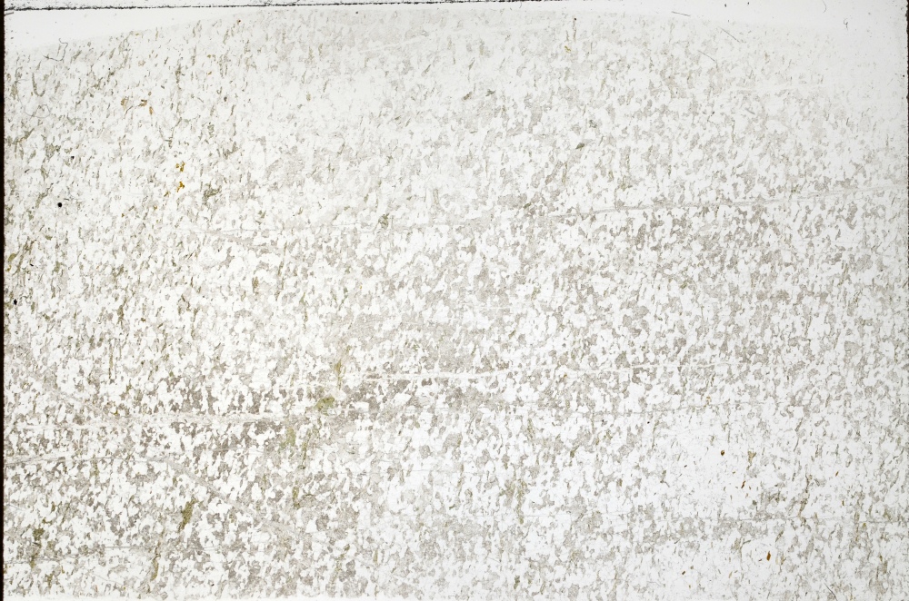 Plane Polarized, S72221