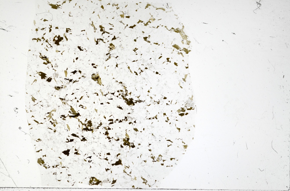Plane Polarized, S72229