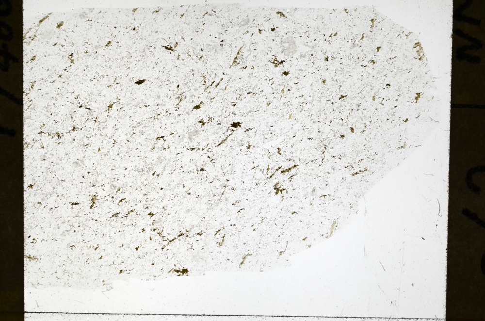 Plane Polarized, S72239