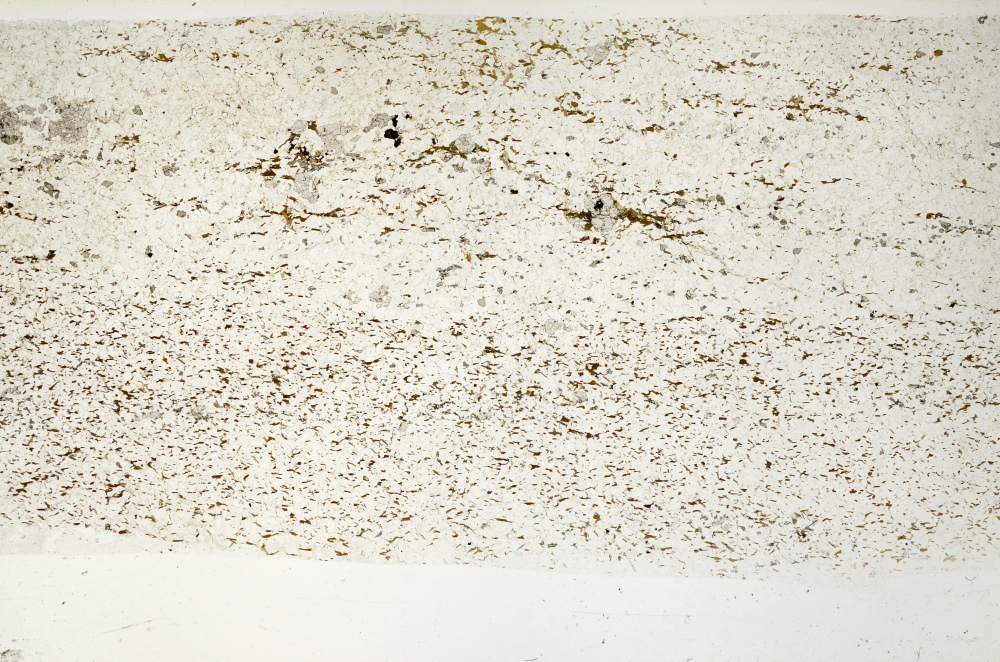 Plane Polarized, S72252