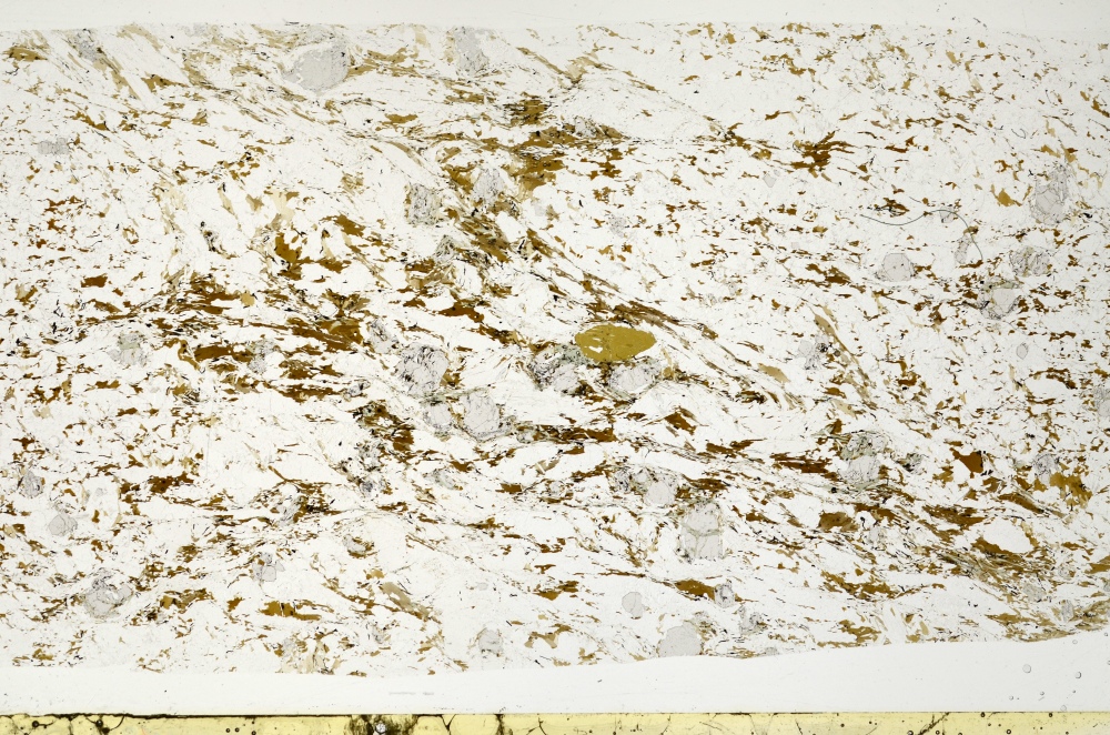 Plane Polarized, S72254