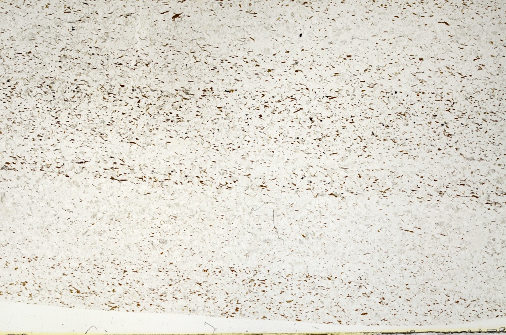 Plane Polarized, S72257