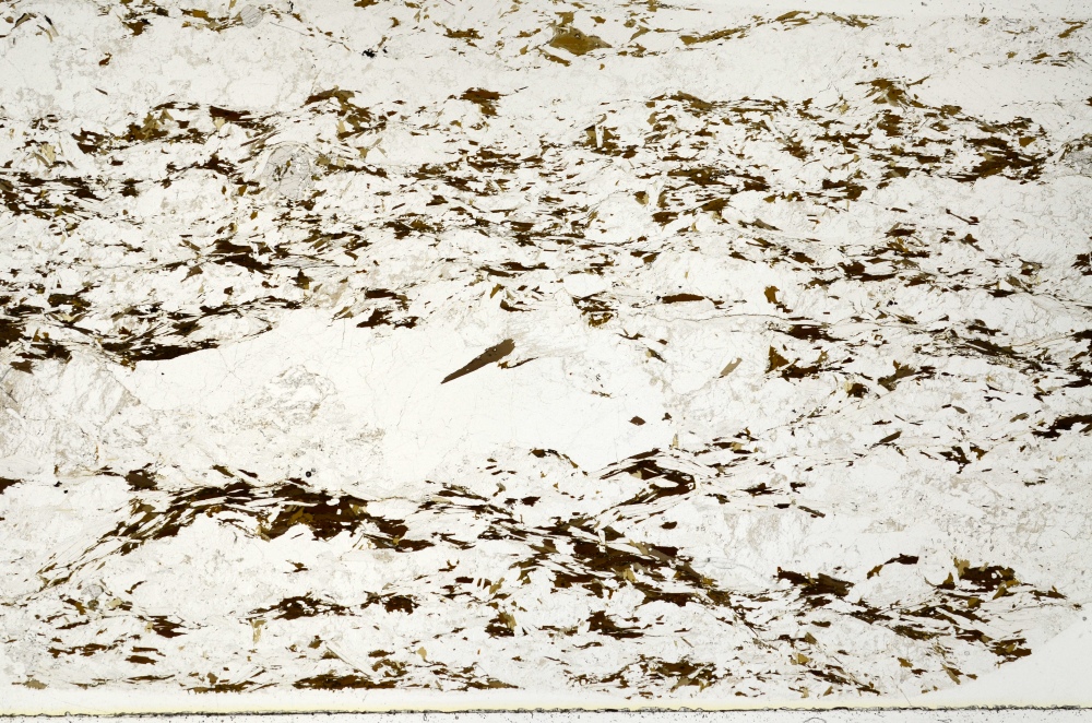 Plane Polarized, S72258