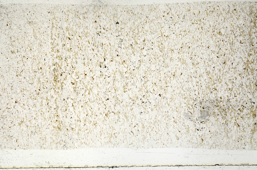Plane Polarized, S72259