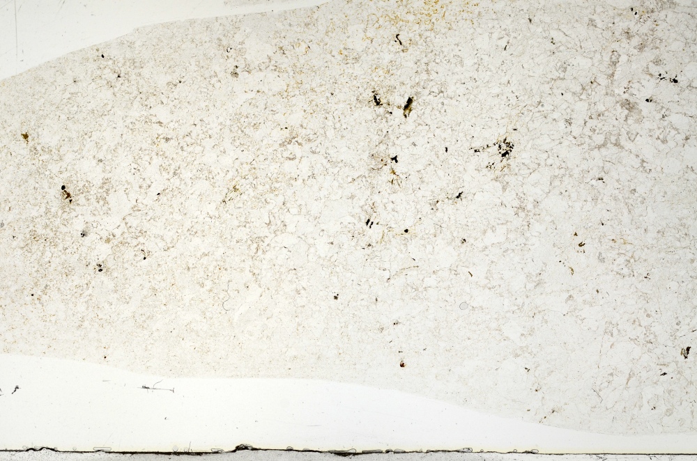 Plane Polarized, S72262