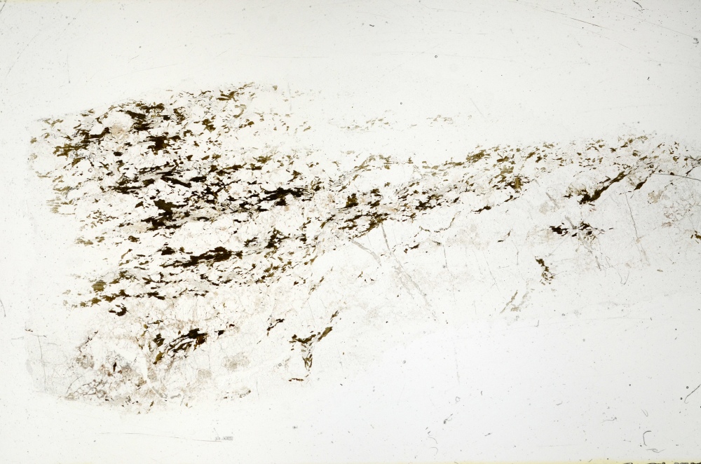 Plane Polarized, S72264