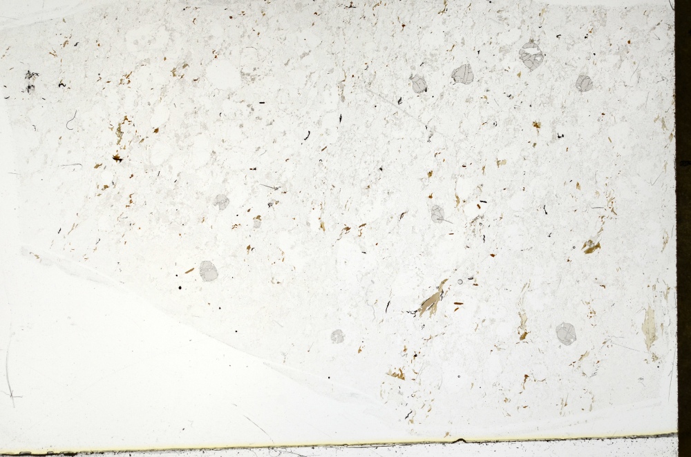 Plane Polarized, S72278