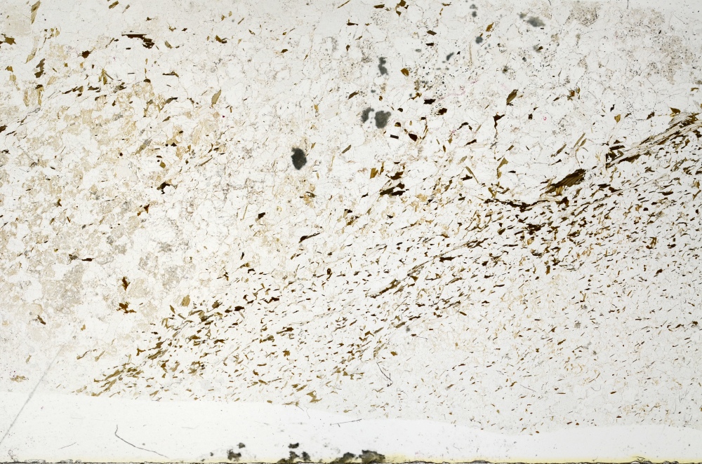 Plane Polarized, S72282