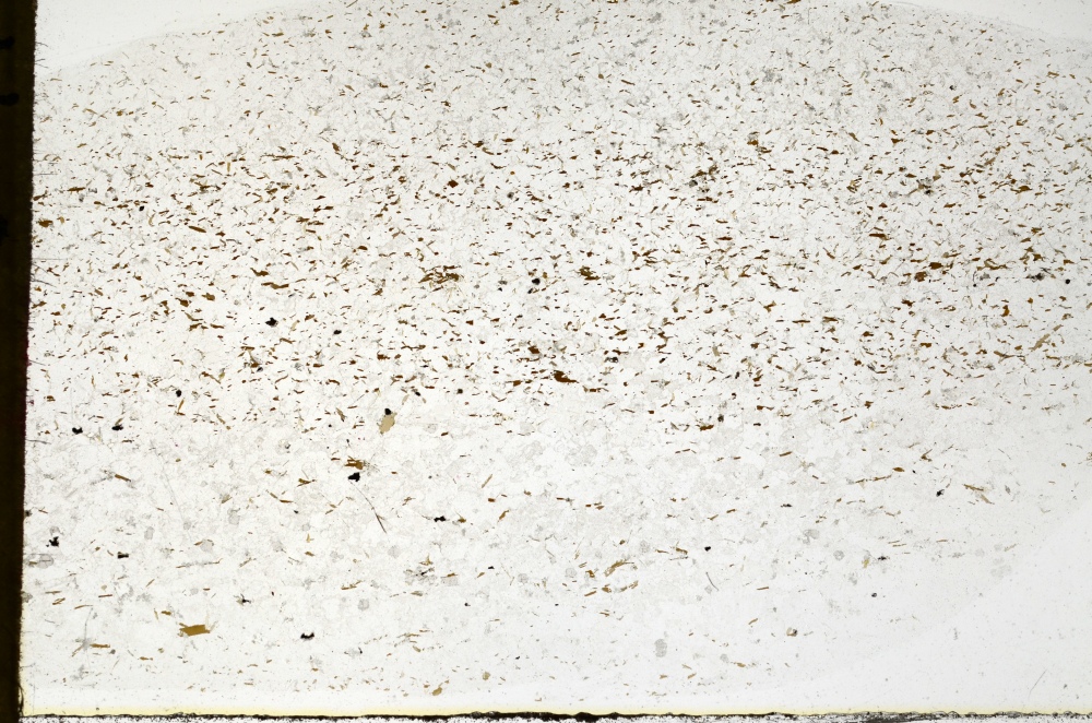 Plane Polarized, S72284