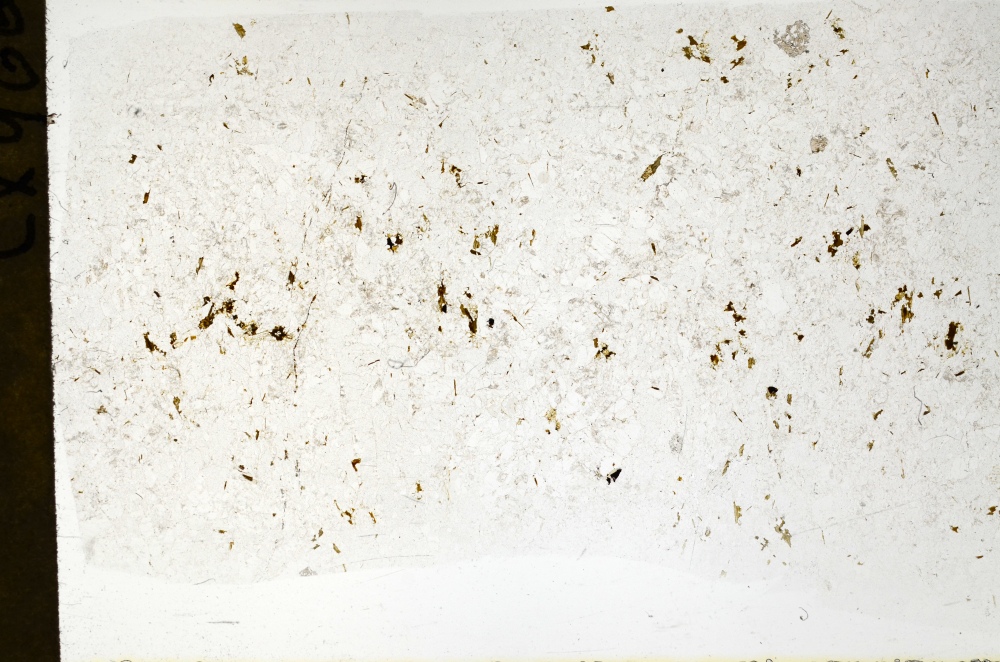 Plane Polarized, S72288