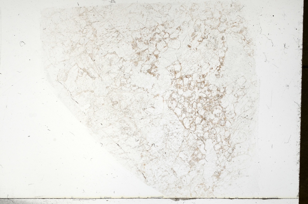Plane Polarized, S72289