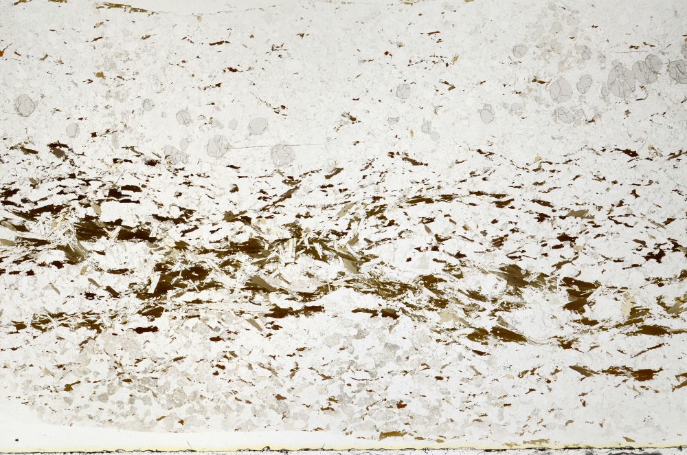 Plane Polarized, S72293