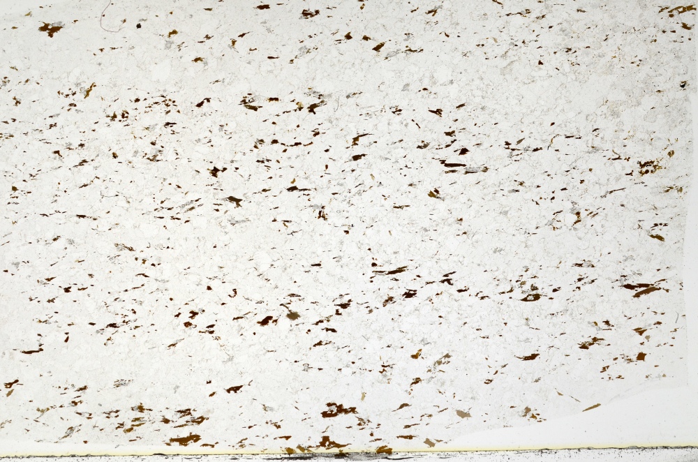 Plane Polarized, S72294