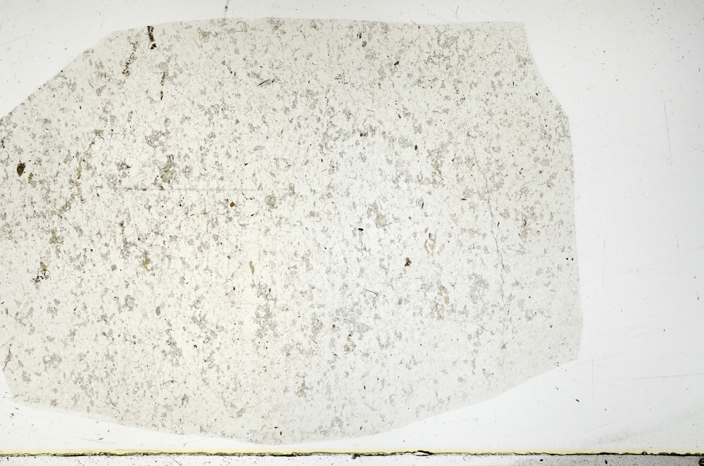 Plane Polarized, S72296