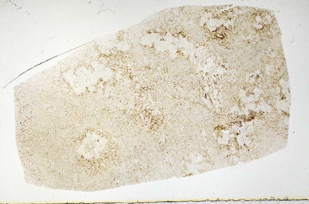 Plane Polarized, S72434