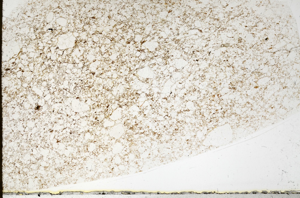 Plane Polarized, S72441