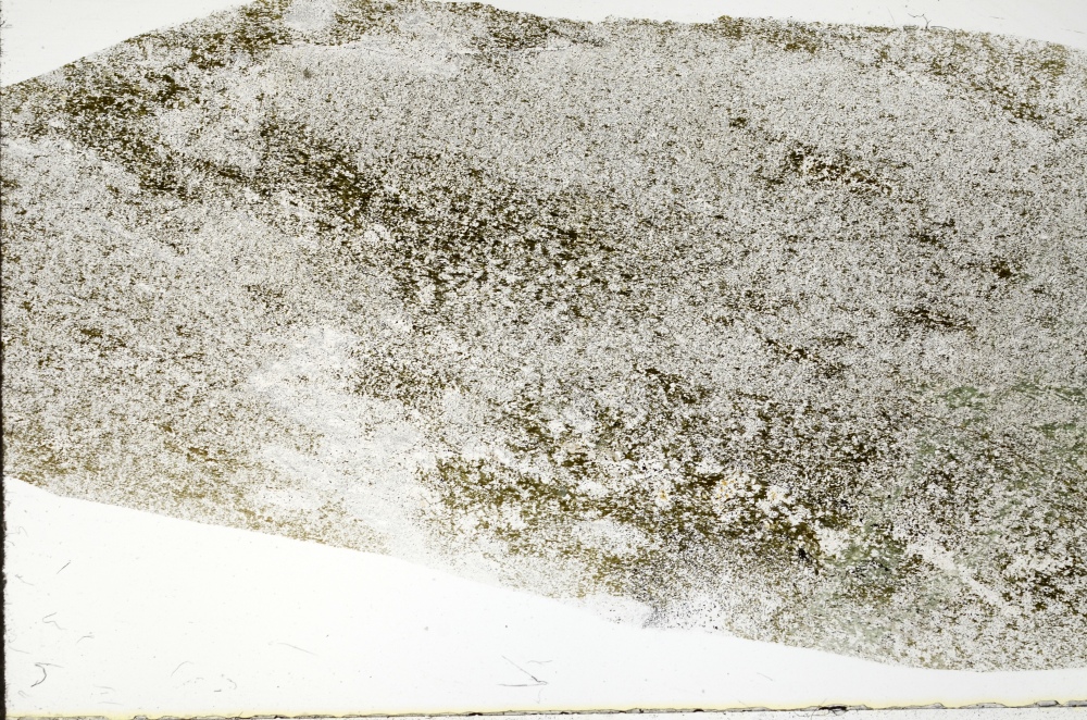 Plane Polarized, S72455