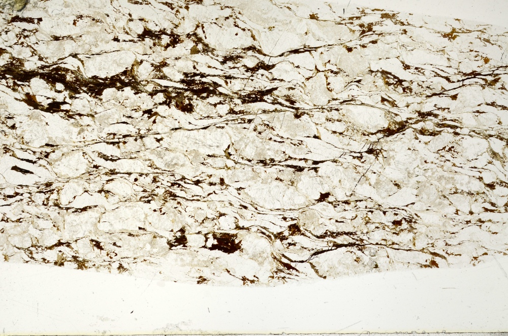 Plane Polarized, S72489