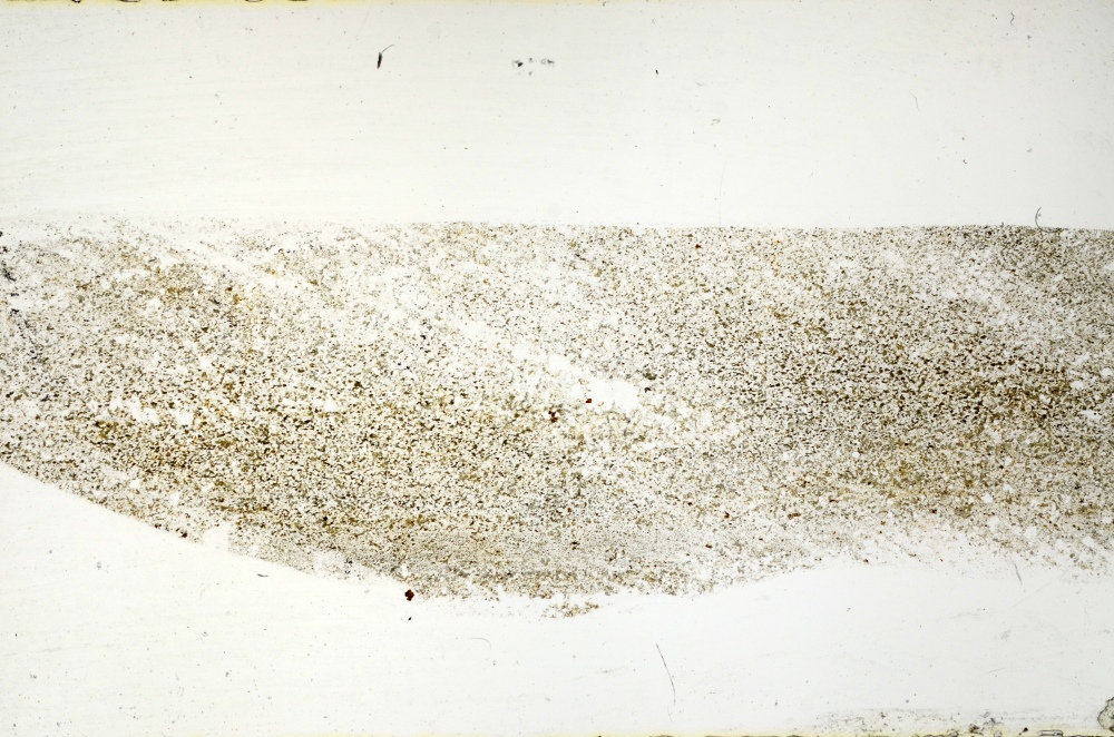 Plane Polarized, S72534