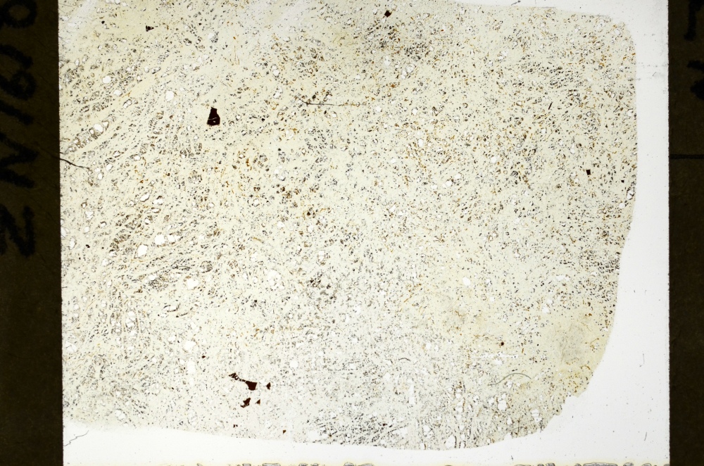 Plane Polarized, S72542