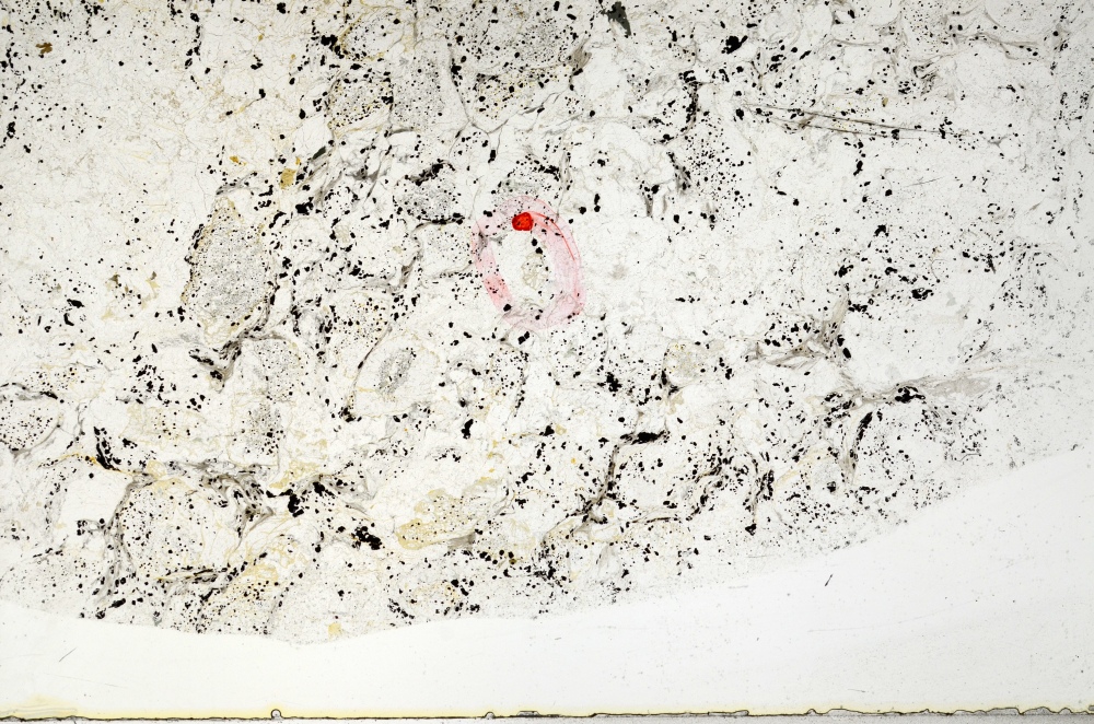 Plane Polarized, S72546